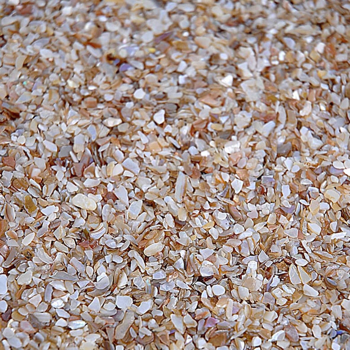 A close up of small, thin and sharp rocks in the colours white, beige, grey and brown.